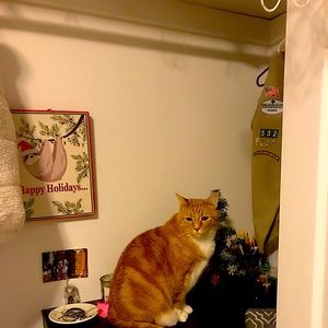 dexter what r u doin